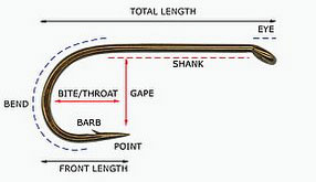Parts of a typical fishing hook.