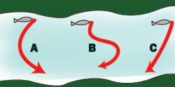 Graphic of strike direction with rod